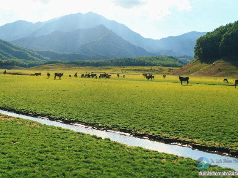 Hồ Hòa Trung – Thiên Đường Bình Yên Giữa Lòng Đà Nẵng