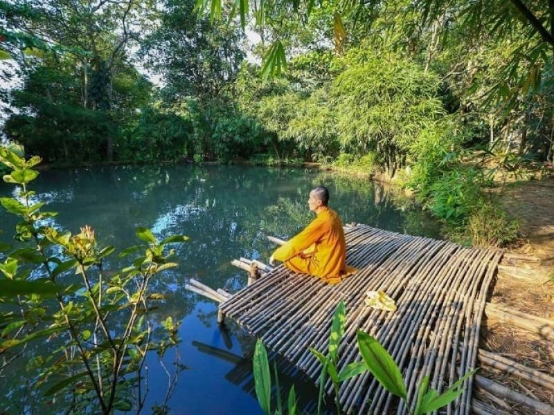 Khám Phá Sơn Trà Tịnh Viên – Chốn Bình Yên Giữa Núi Rừng Đà Nẵng